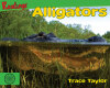 Alligators