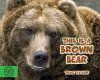 This Is a Brown Bear