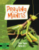 Praying Mantis