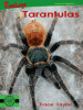 Tarantulas
