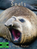 Seals