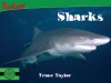 Sharks