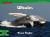 Whales