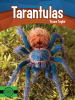 Tarantulas