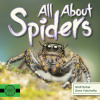 All About Spiders