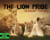 The Lion Pride