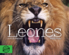 Leones