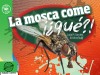 La mosca come ¡¿qué?!