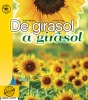 De girasol a girasol