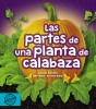 Las partes de la planta de calabaza