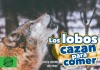 Los lobos cazan para comer