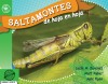 Saltamontes de hoja en hoja