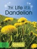 The Life of a Dandelion
