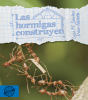 Las hormigas construyen