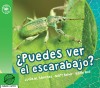 ¿Puedes ver el escarabajo?