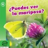 ¿Puedes ver la mariposa?