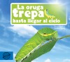 La orugua trepa hasta llegar al cielo