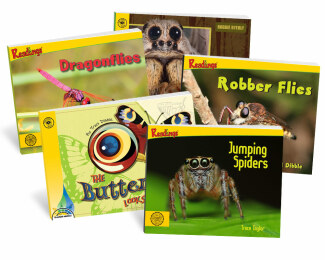 Bugs, Bugs, & More Bugs