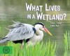 What Lives in a Wetland?