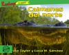 Caimanes del norte