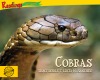 Cobras