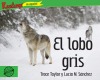 El lobo gris