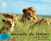 La manada de leones