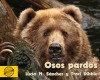 Osos pardos