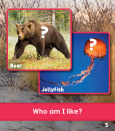 Sample 5