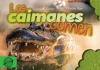 Los caimanes comen