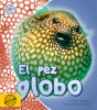 El pez globo