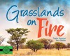 Grasslands on Fire