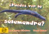 ¿Puedes ver la salamandra?