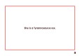 Sample 5