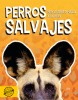 Perros salvajes