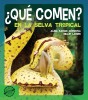 ¿Qué comen? - En la selva tropical