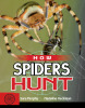 How Spiders Hunt