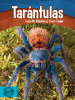 Tarántulas