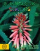 A Jungle of Colors