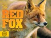 Red Fox, The