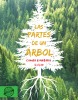 partes de un árbol, Las