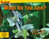 What Do You See?