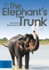 The Elephant's Trunk