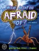 What Are You Afraid Of?