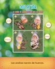 Sample 4