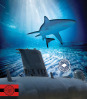 Sharks are like Submarines
