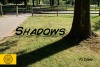 Shadows