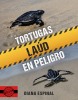 Tortugas laúd en peligro
