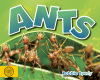 Ants
