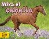 Mira el caballo